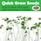 Creativity for Kids® Mini Garden Princess Kit